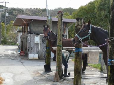 ファイル 318-3.jpg