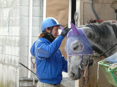 ファイル 318-4.jpg