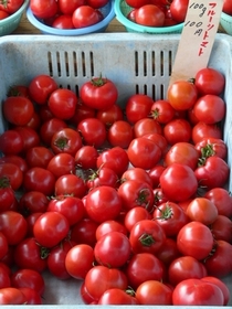 ファイル 323-5.jpg