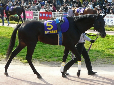 ファイル 327-5.jpg