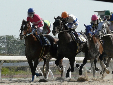 ファイル 328-2.jpg