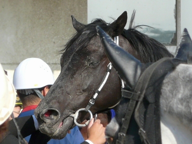 ファイル 328-3.jpg