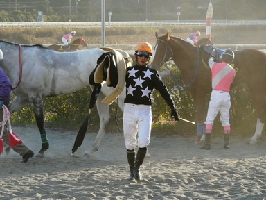 ファイル 334-1.jpg