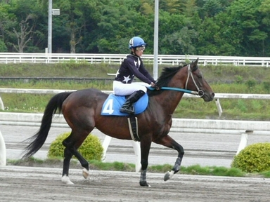 ファイル 335-5.jpg