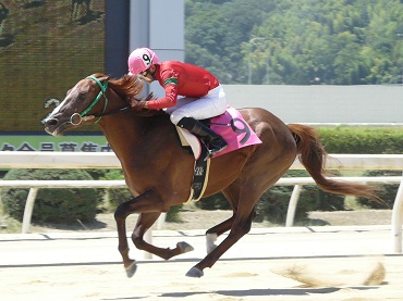 ファイル 344-5.jpg