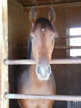 ファイル 359-1.jpg