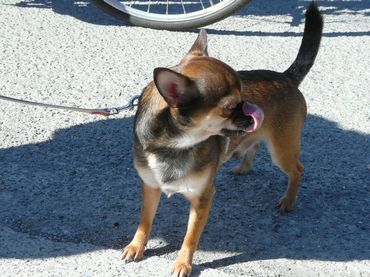 ファイル 359-4.jpg