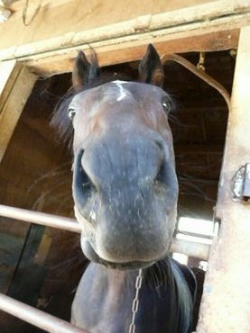 ファイル 360-1.jpg