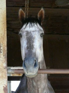 ファイル 361-2.jpg