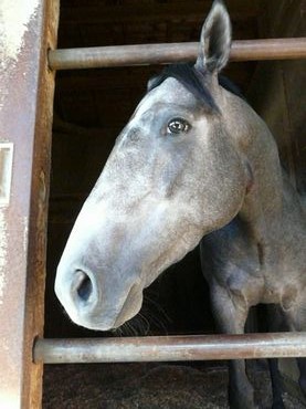 ファイル 361-3.jpg