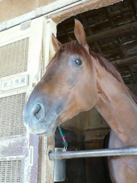 ファイル 361-4.jpg