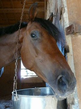 ファイル 361-5.jpg