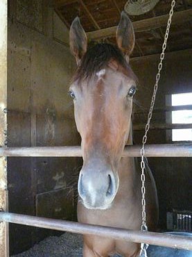 ファイル 362-1.jpg