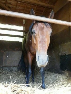 ファイル 362-3.jpg