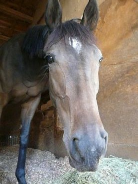 ファイル 362-4.jpg