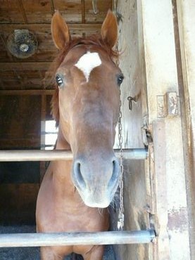 ファイル 362-5.jpg