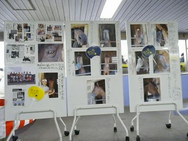 ファイル 363-1.jpg