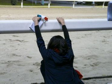 ファイル 365-3.jpg