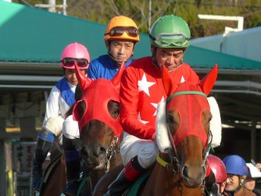 ファイル 374-5.jpg