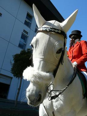 ファイル 41-1.jpg