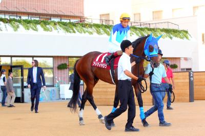 ファイル 447-4.jpg