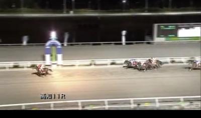 ファイル 544-1.jpeg