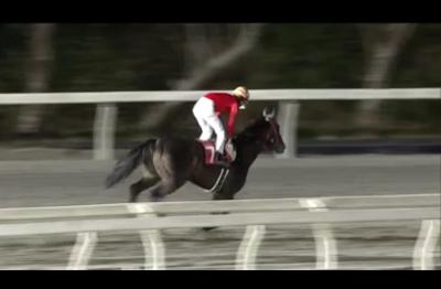 ファイル 544-2.jpeg