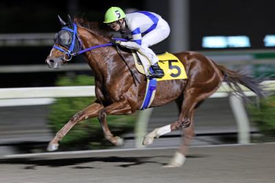 ファイル 10001-1.jpg