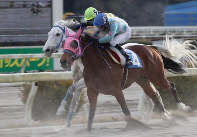 ファイル 10050-1.jpg