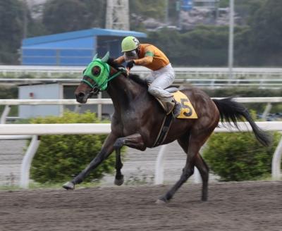 ファイル 10357-1.jpg