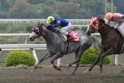 ファイル 1597-2.jpg