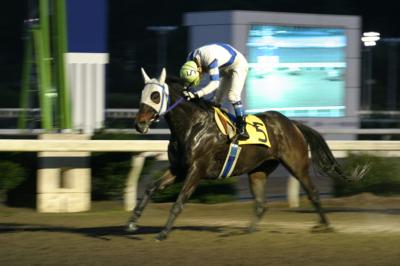 ファイル 2002-2.jpg