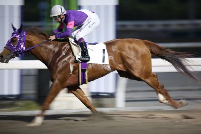 ファイル 8749-1.jpg