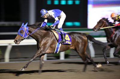 ファイル 9162-1.jpg