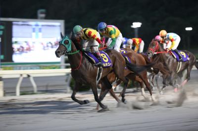 ファイル 9272-2.jpg