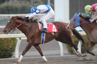 ファイル 9344-1.jpg