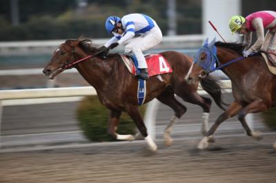 ファイル 9526-1.jpg