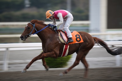 ファイル 8706-1.jpg