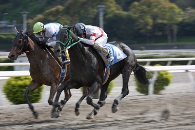 ファイル 8735-1.jpg