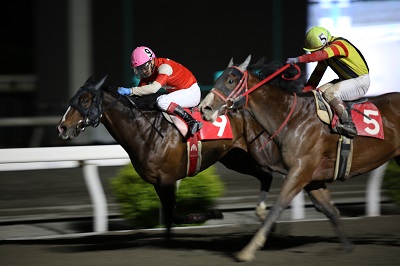 ファイル 8737-1.jpg