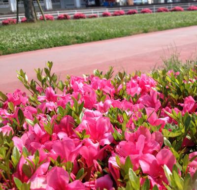 ファイル 257-1.jpg