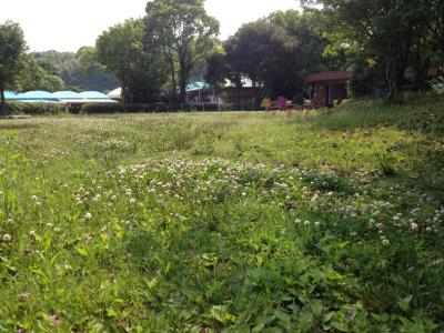 ファイル 257-3.jpg