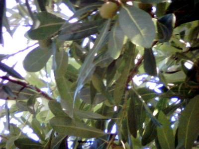 ファイル 261-3.jpg