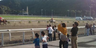 ファイル 288-2.jpg