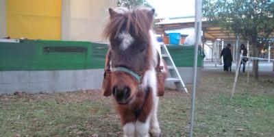 ファイル 288-3.jpg