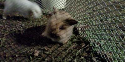 ファイル 288-4.jpg