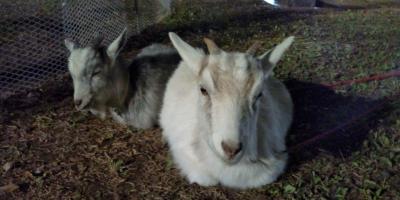 ファイル 288-5.jpg