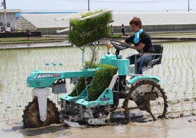 ファイル 291-4.jpg