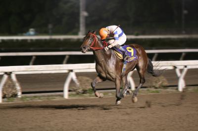 ファイル 306-1.jpg