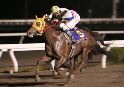 ファイル 341-1.jpg